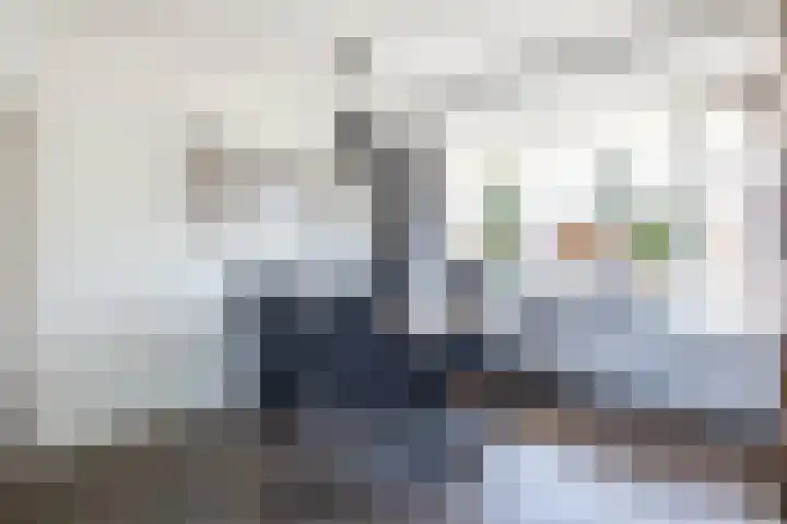 Hoolhof 48 Eersel thumbnail 12