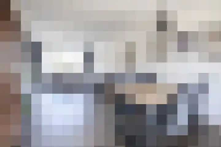 Hoolhof 48 Eersel thumbnail 13