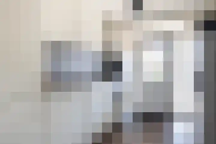 Hoolhof 48 Eersel thumbnail 14