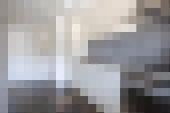 Hoolhof 48 Eersel thumbnail 15