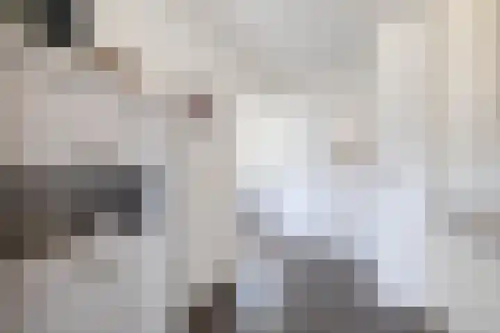 Hoolhof 48 Eersel thumbnail 17