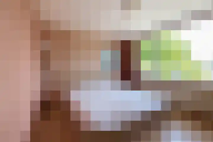 Hoolhof 48 Eersel thumbnail 19