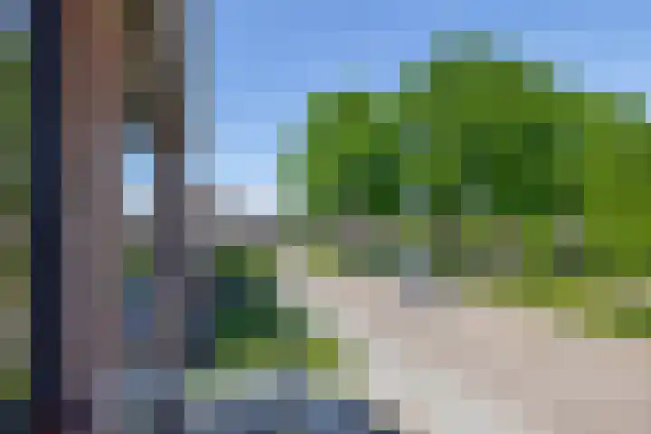 Hoolhof 48 Eersel thumbnail 24