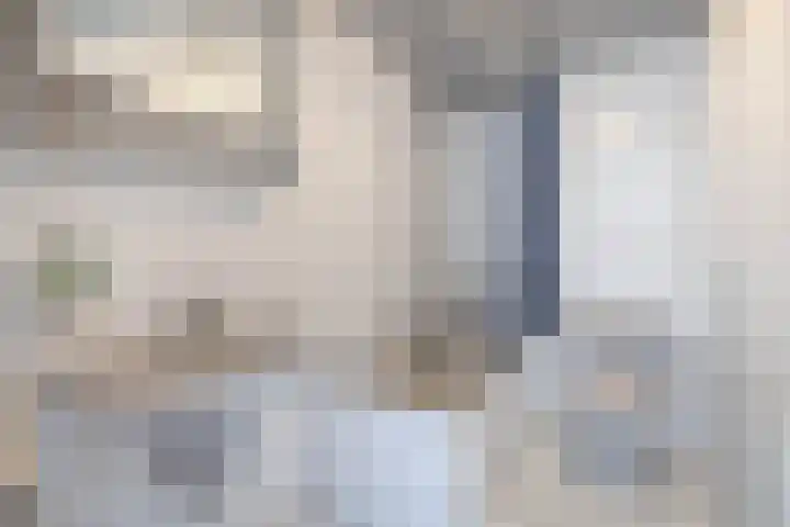 Hoolhof 48 Eersel thumbnail 26
