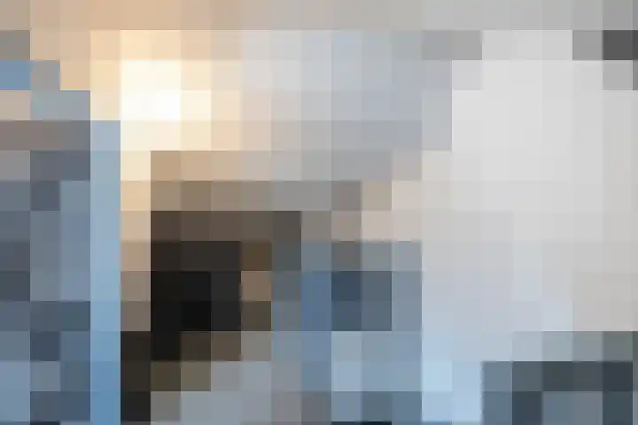 Hoolhof 48 Eersel thumbnail 28