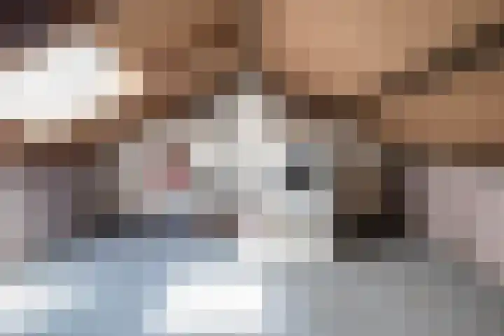 Hoolhof 48 Eersel thumbnail 29