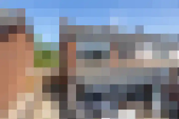 Hoolhof 48 Eersel thumbnail 31