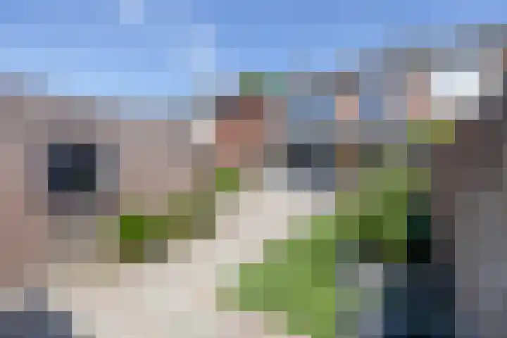 Hoolhof 48 Eersel thumbnail 35