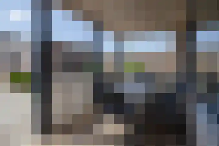Hoolhof 48 Eersel thumbnail 37