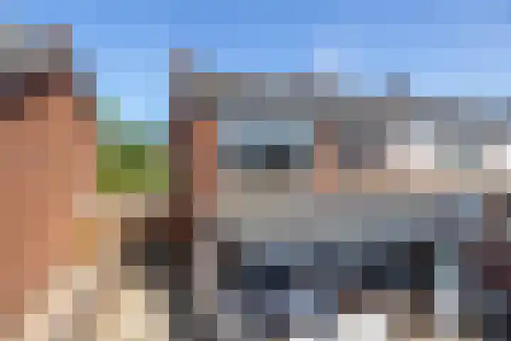 Hoolhof 48 Eersel thumbnail 4
