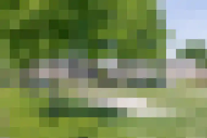 Hoolhof 48 Eersel thumbnail 40