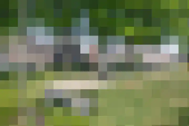 Hoolhof 48 Eersel thumbnail 41