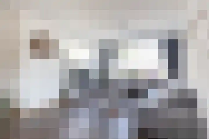 Hoolhof 48 Eersel thumbnail 9