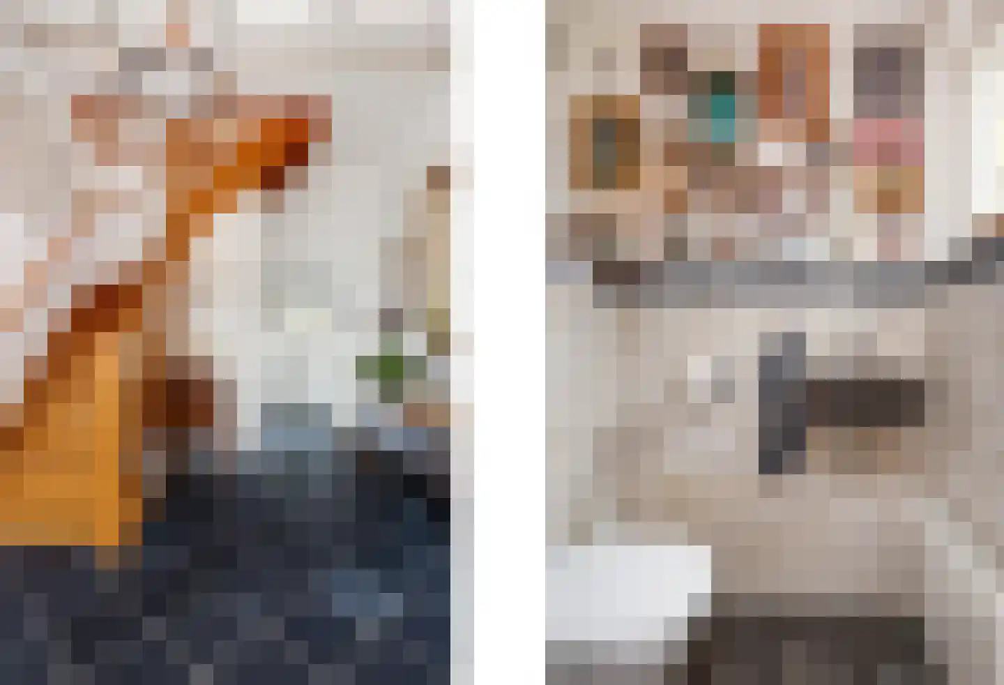 Hoolstraat 1 Urmond thumbnail 17