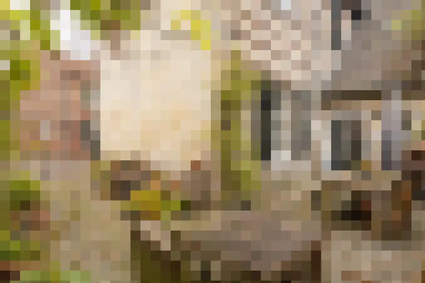 Hoolstraat 1 Urmond thumbnail 4