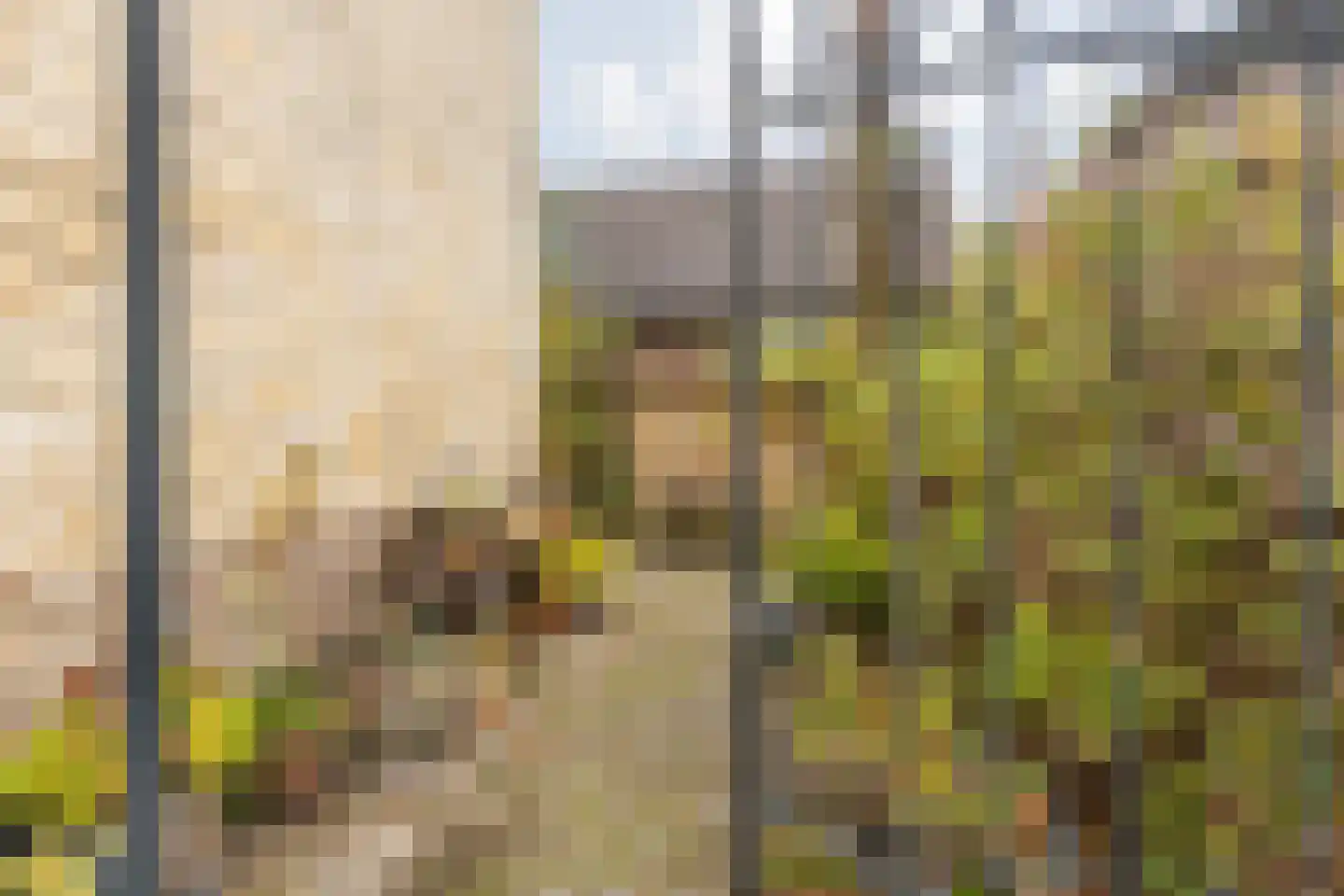 Hoolstraat 1 Urmond thumbnail 50