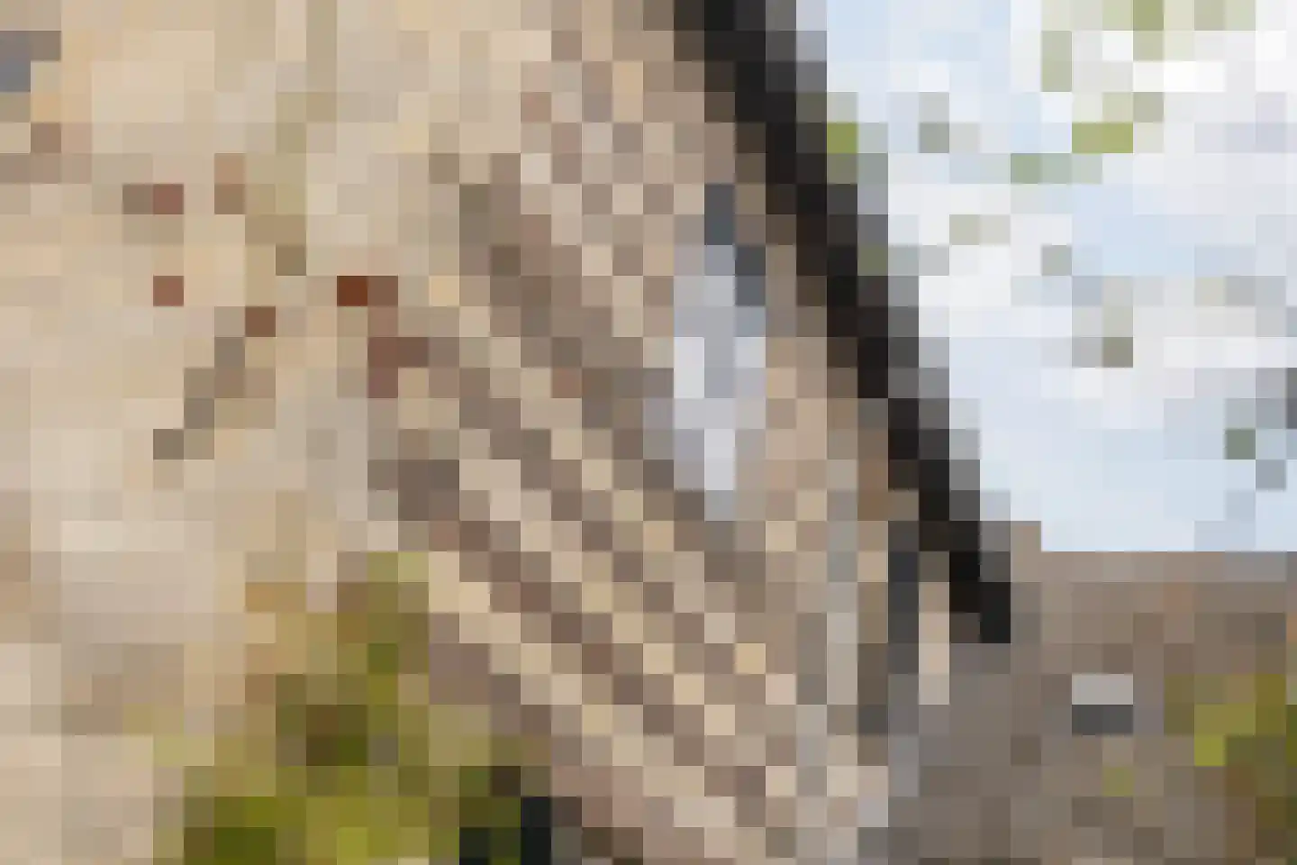 Hoolstraat 1 Urmond thumbnail 55