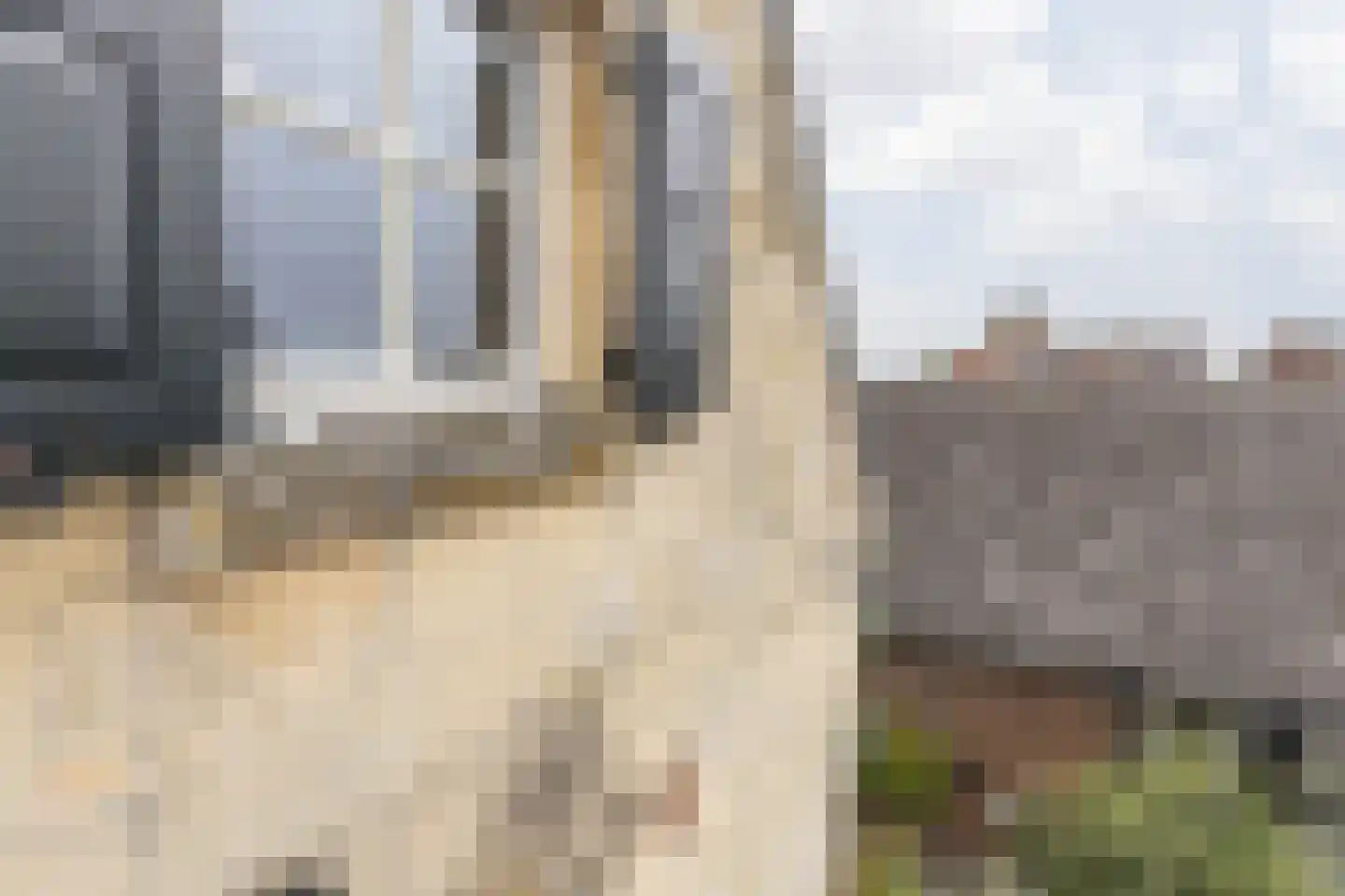 Hoolstraat 1 Urmond thumbnail 59
