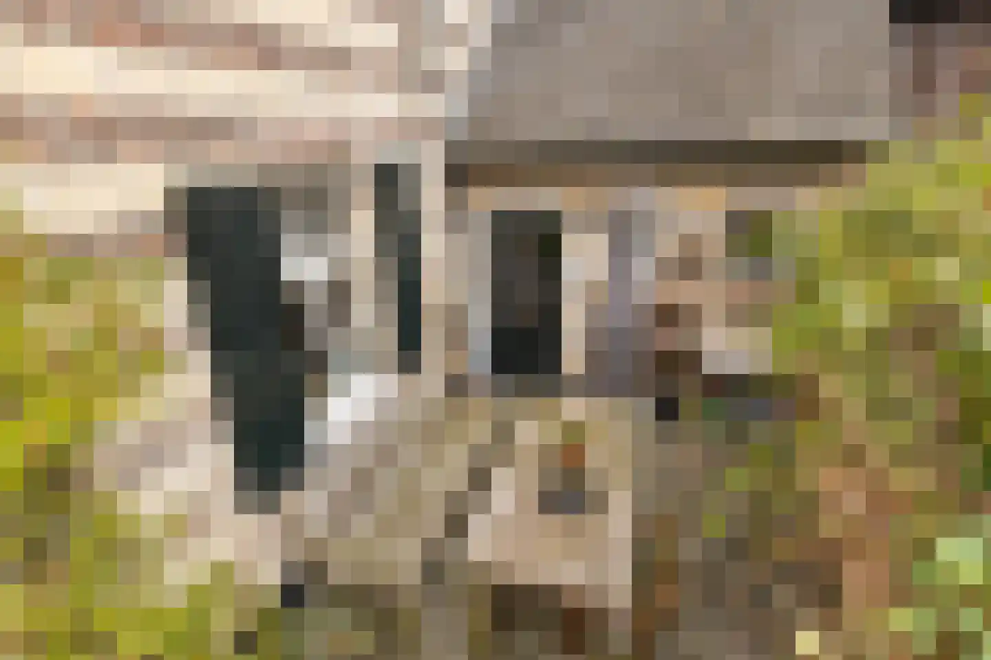 Hoolstraat 1 Urmond thumbnail 60