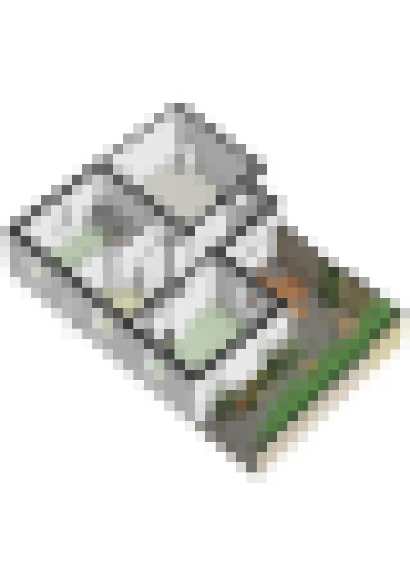 Hoolstraat 1 Urmond thumbnail 65