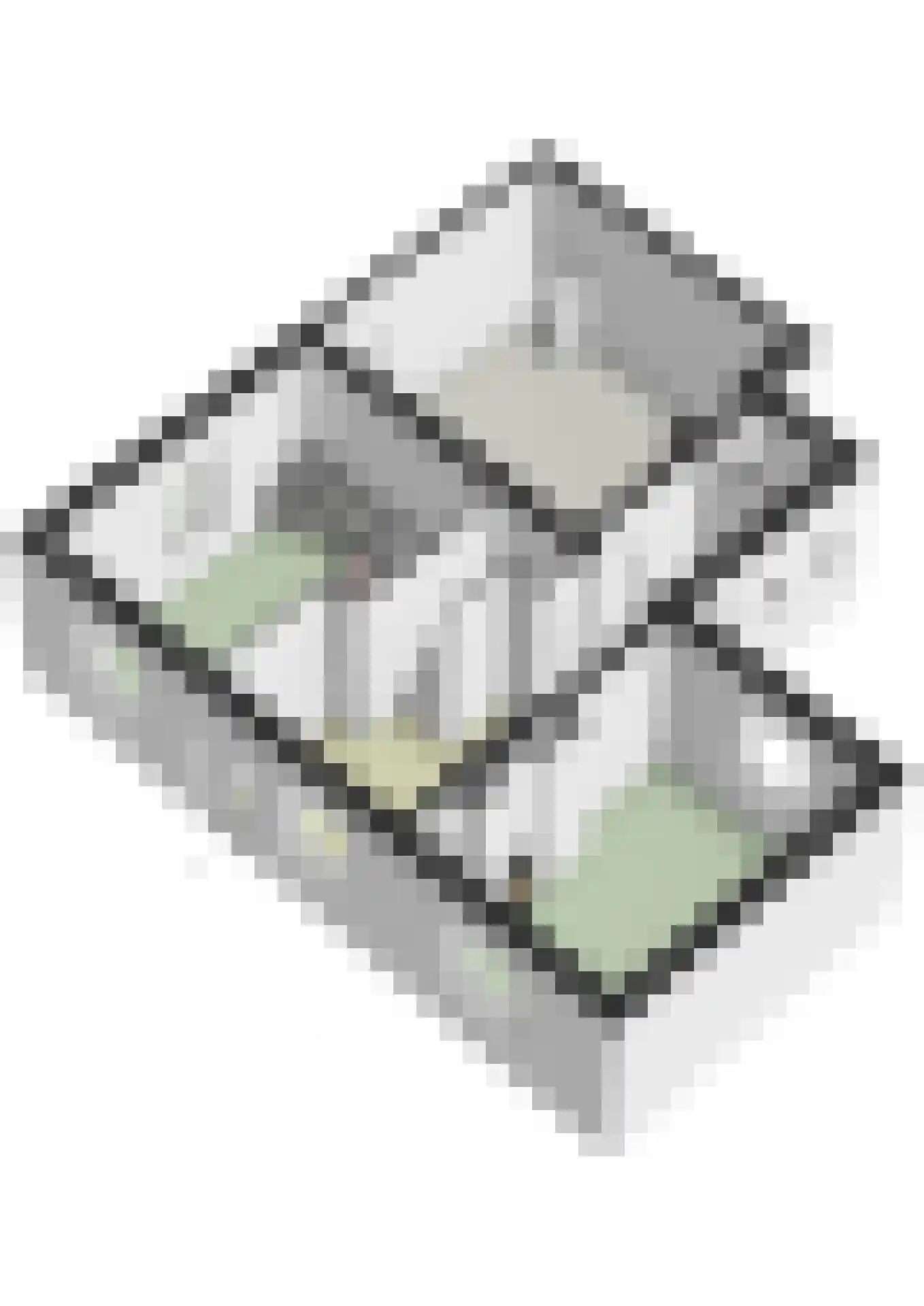 Hoolstraat 1 Urmond thumbnail 67