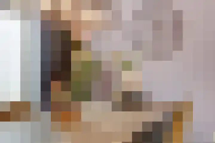 Hoolstraat 22 Eersel thumbnail 12