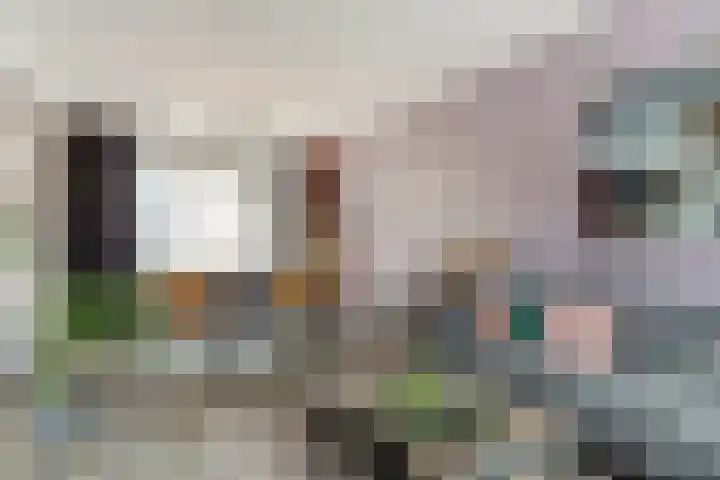 Hoolstraat 22 Eersel thumbnail 17