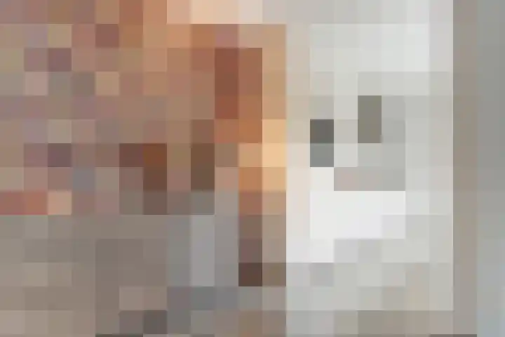Hoolstraat 22 Eersel thumbnail 18