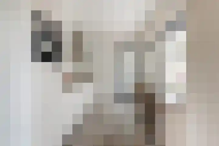 Hoolstraat 22 Eersel thumbnail 19
