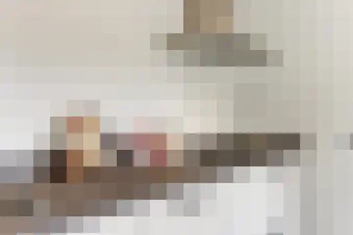 Hoolstraat 22 Eersel thumbnail 20