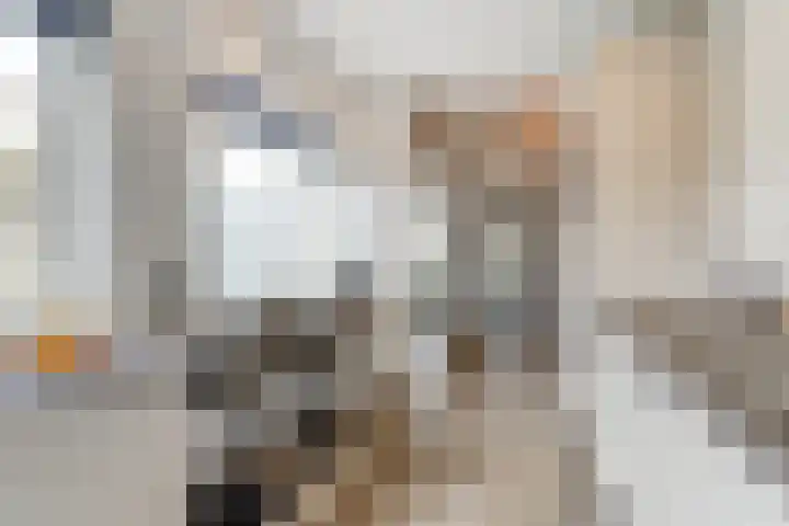 Hoolstraat 22 Eersel thumbnail 22