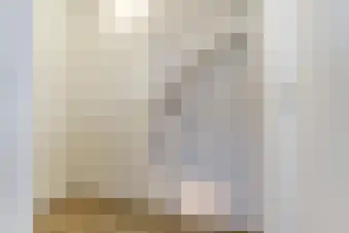 Hoolstraat 22 Eersel thumbnail 24