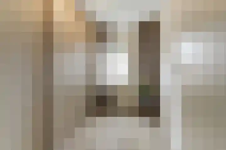 Hoolstraat 22 Eersel thumbnail 28