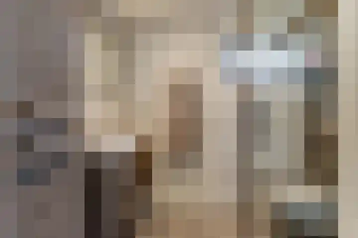 Hoolstraat 22 Eersel thumbnail 31