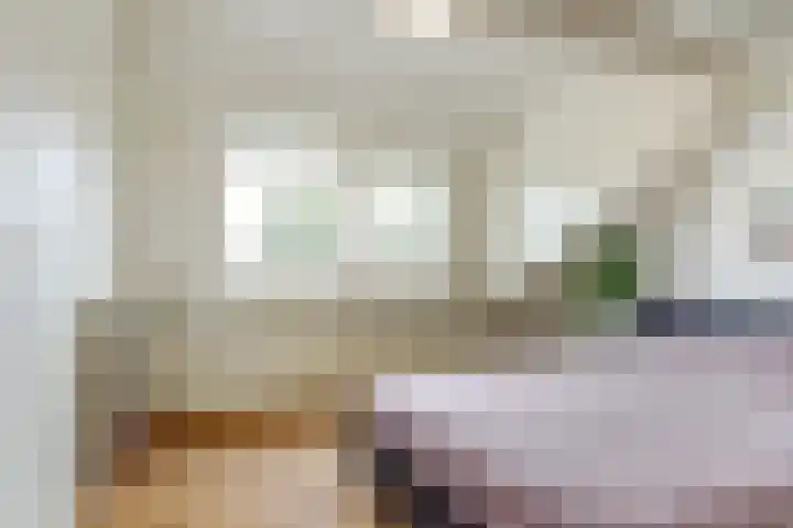 Hoolstraat 22 Eersel thumbnail 36