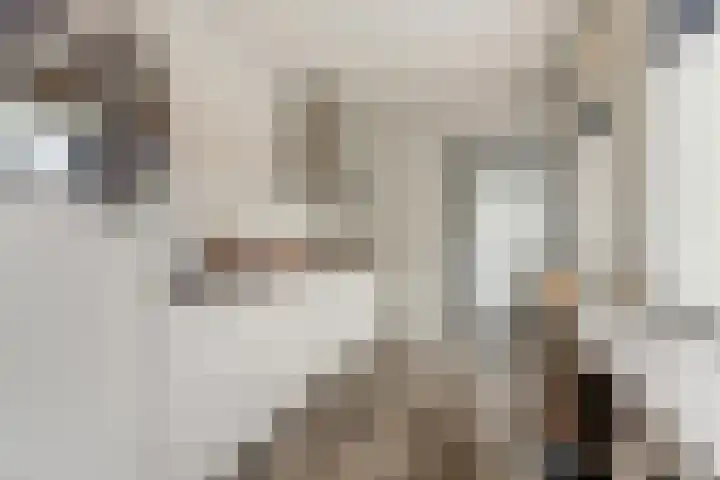 Hoolstraat 22 Eersel thumbnail 4