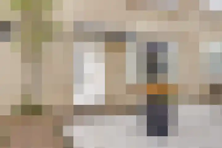 Hoolstraat 22 Eersel thumbnail 6