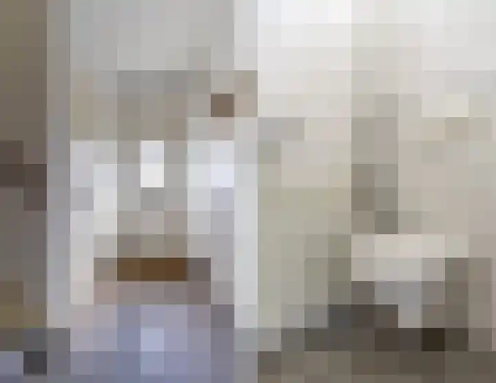 Hoolstraat 32 Eersel thumbnail 13