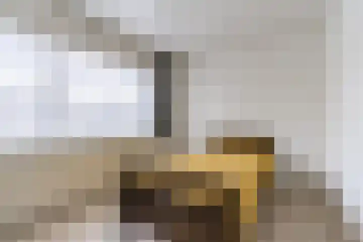 Hoolstraat 32 Eersel thumbnail 16