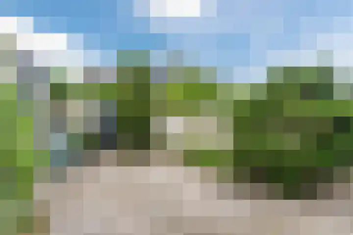 Hoolstraat 32 Eersel thumbnail 25