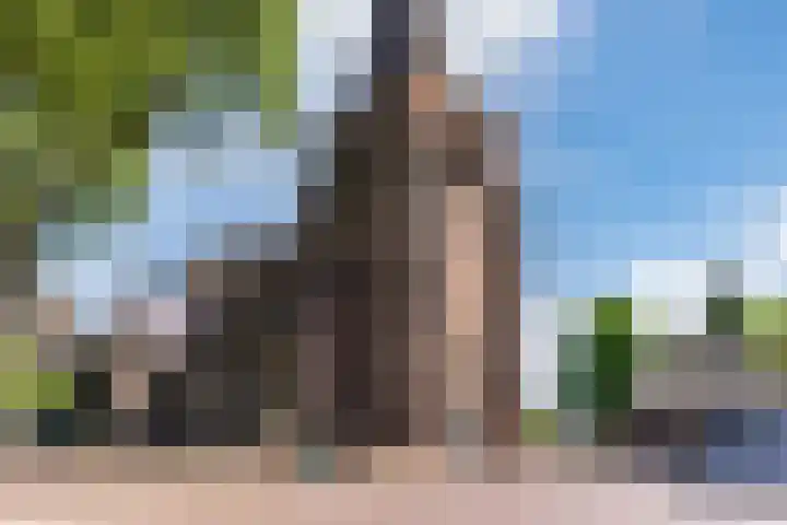 Hoolstraat 32 Eersel thumbnail 33