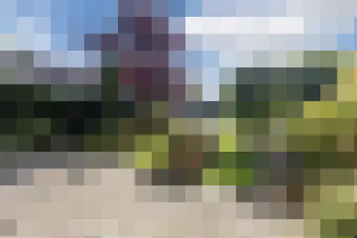 Hoolstraat 32 Eersel thumbnail 4