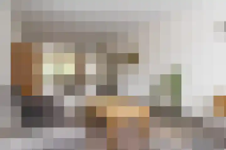 Hoolstraat 32 Eersel thumbnail 4