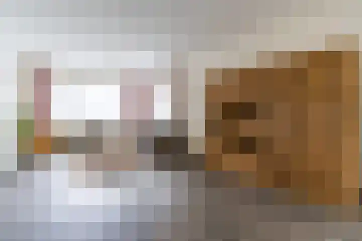 Hoolstraat 32 Eersel thumbnail 6