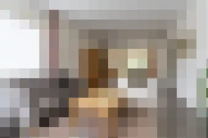 Hoolstraat 32 Eersel thumbnail 7