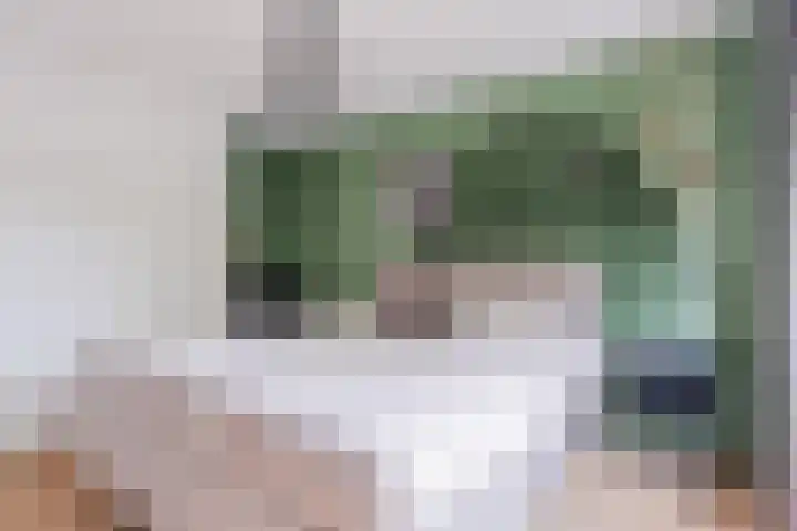 Hoolstraat 67 Eersel thumbnail 16