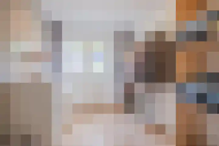Hoolstraat 67 Eersel thumbnail 21
