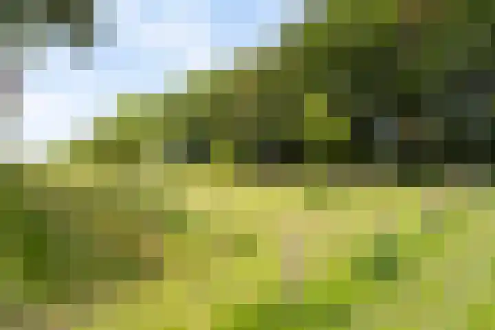 Hoolstraat 67 Eersel thumbnail 38