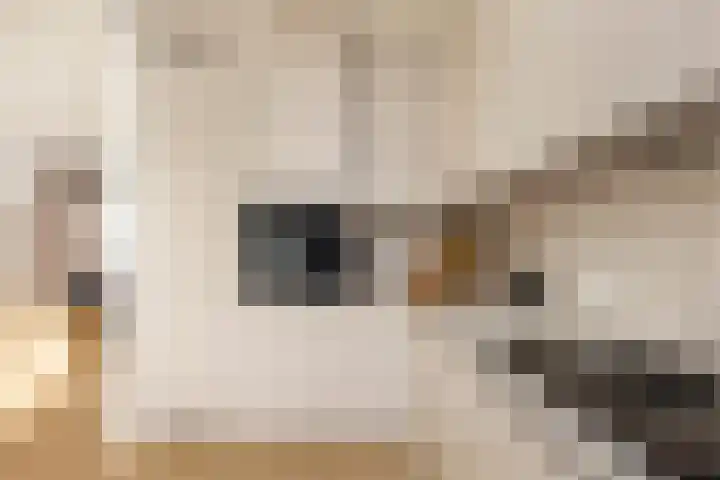 Hoontebrink 1 Enschede thumbnail 13