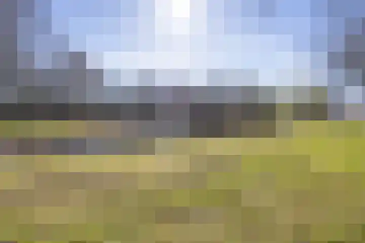 Hoornweg 67 Marum thumbnail 14